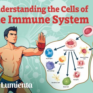 Understanding the Cells of the Immune System
